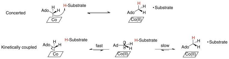 Fig. 12