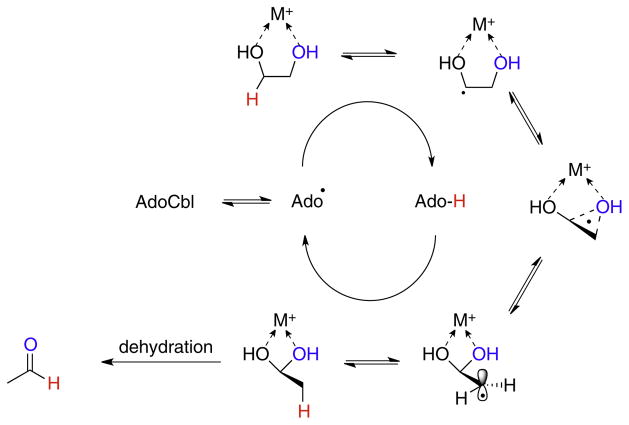 Fig. 10