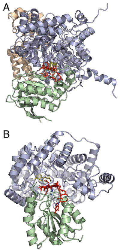 Fig. 11