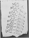 1346-1