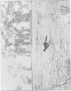 1340-4