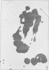 1346-2