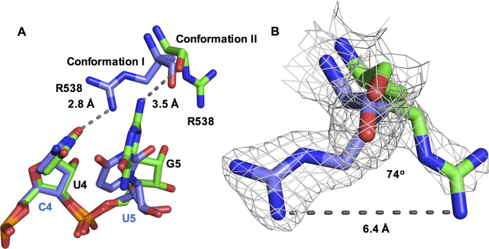 Figure 2.