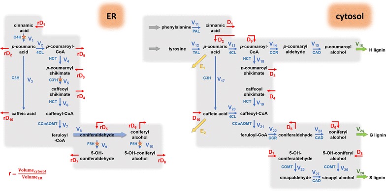 Fig. 6