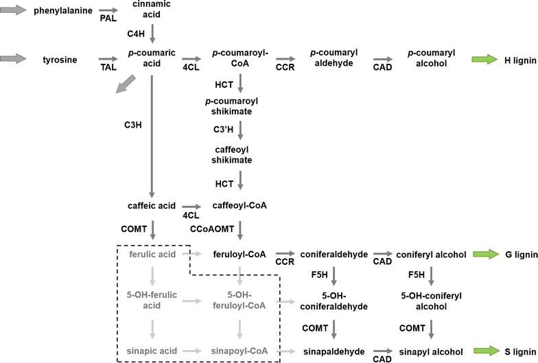 Fig. 3