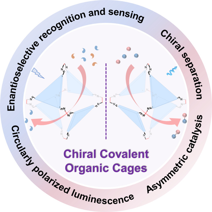 graphic file with name SMO2-3-e20240038-g013.jpg