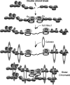 Fig. 10.