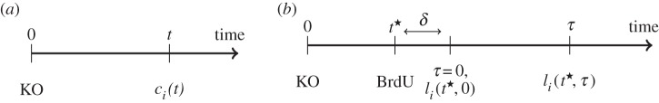 Figure 2.