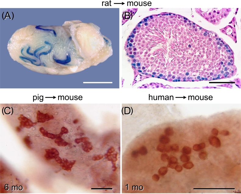 Figure 5.