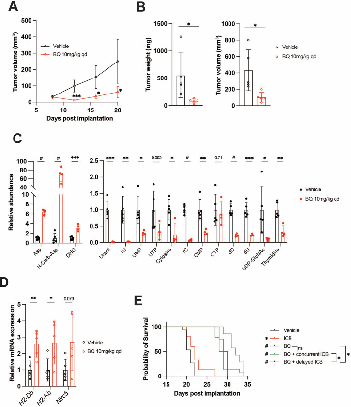 Figure 5: