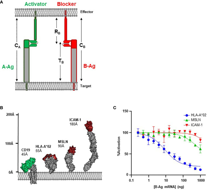 Figure 1