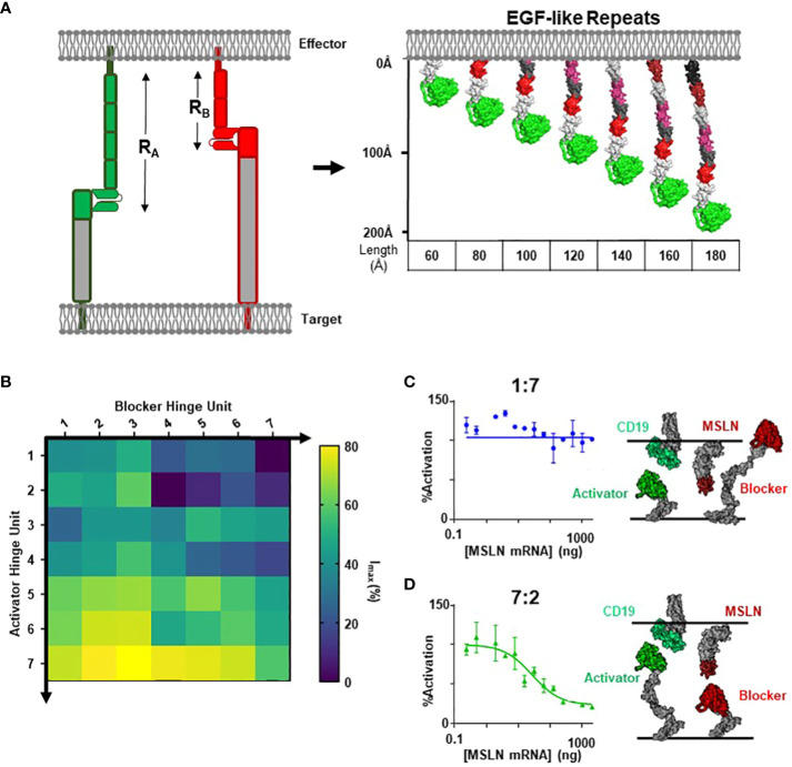 Figure 3