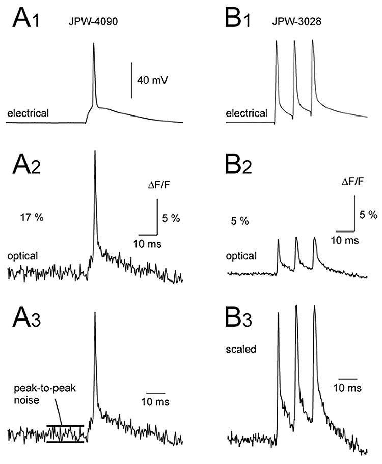 Fig. 4