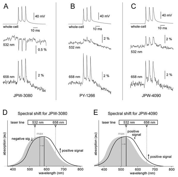 Fig. 1