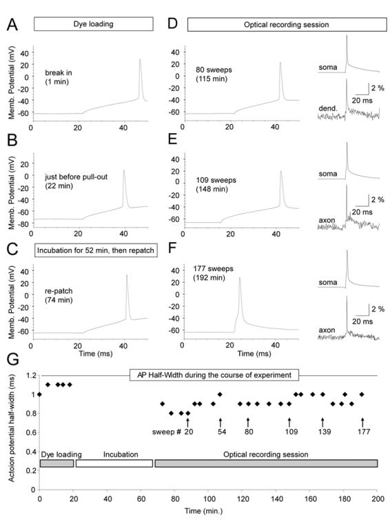 Fig. 7