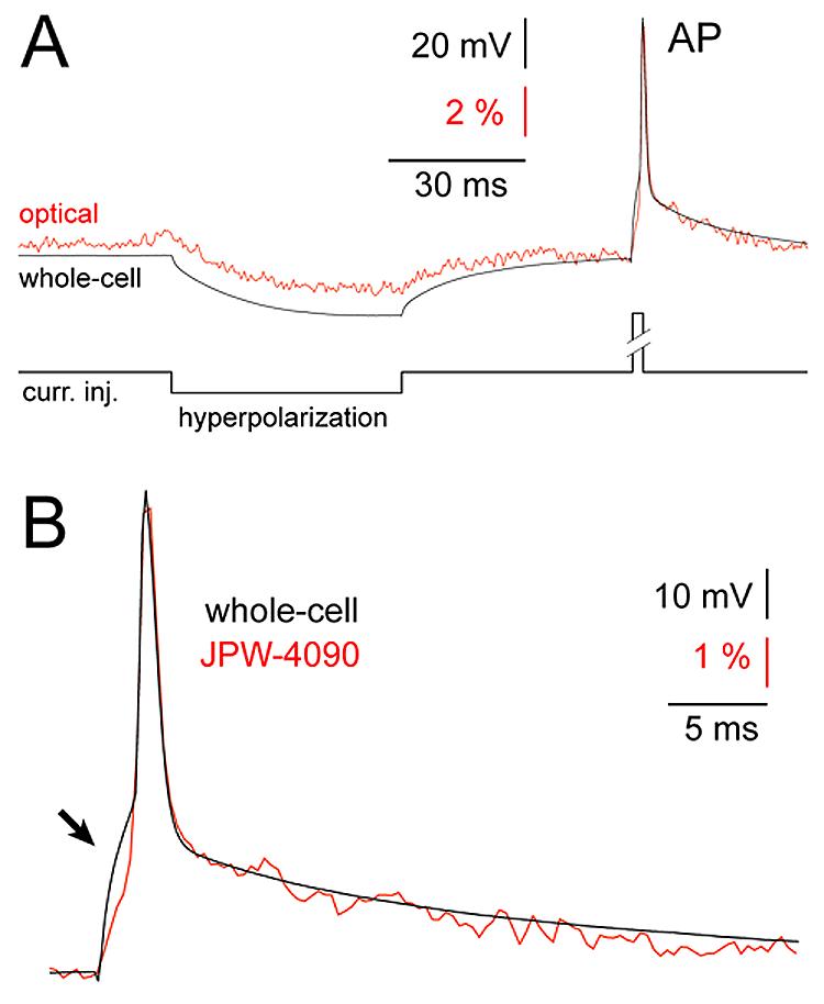 Fig. 2