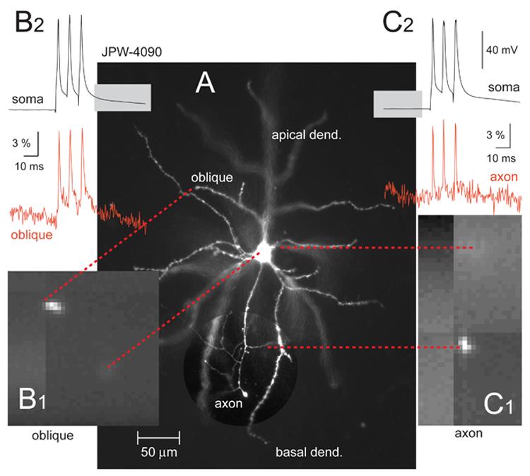 Fig. 3