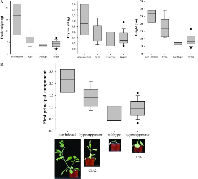 Figure 4.—