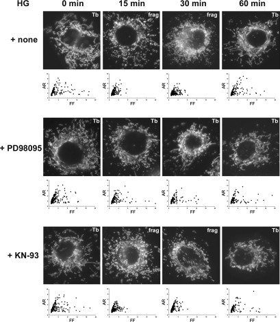 FIG. 6.