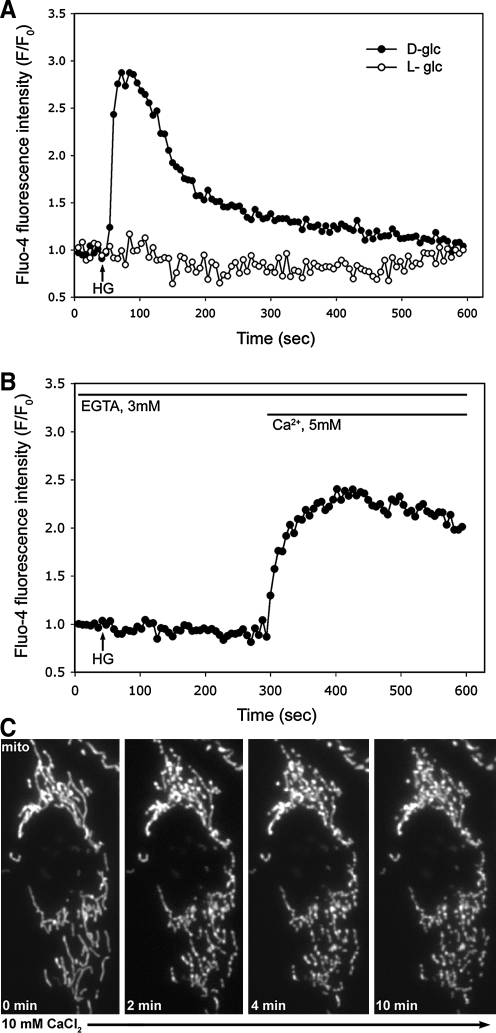 FIG. 1.