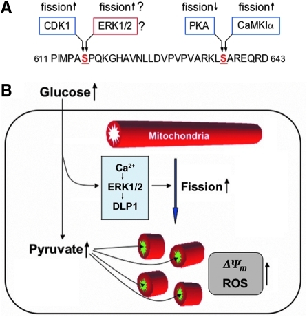 FIG. 9.