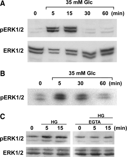 FIG. 5.