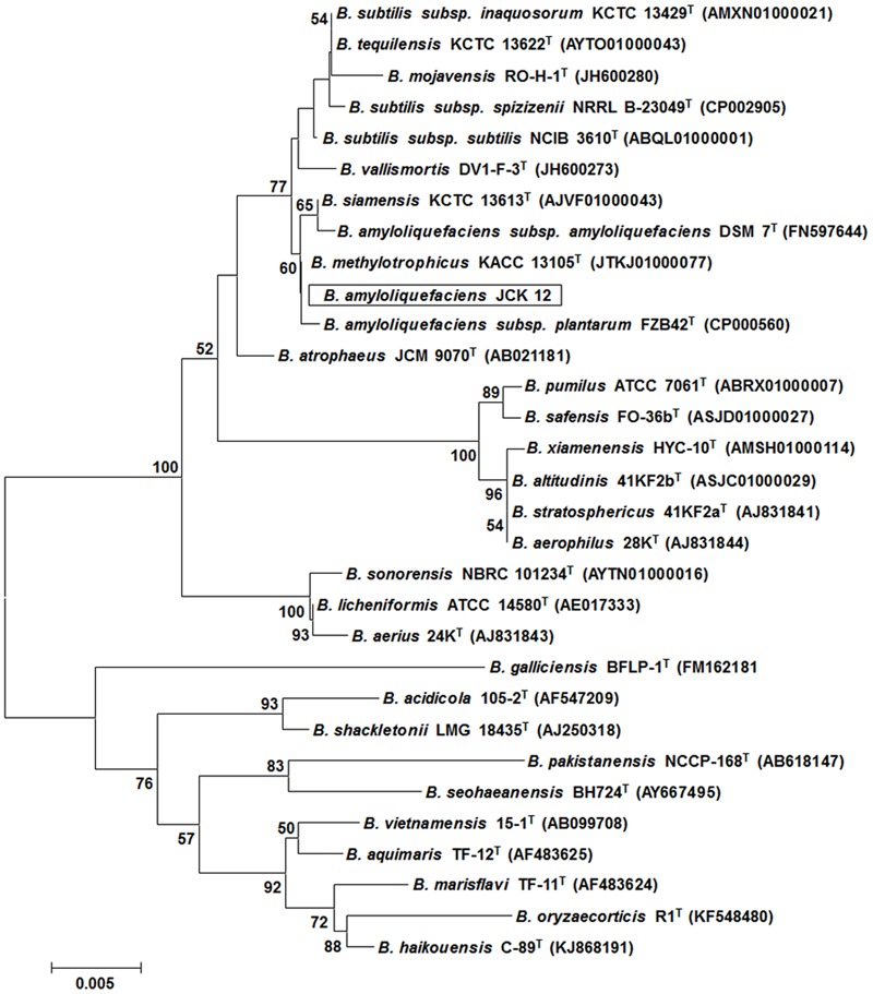 FIGURE 2