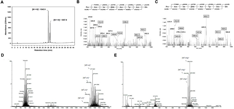 FIGURE 4