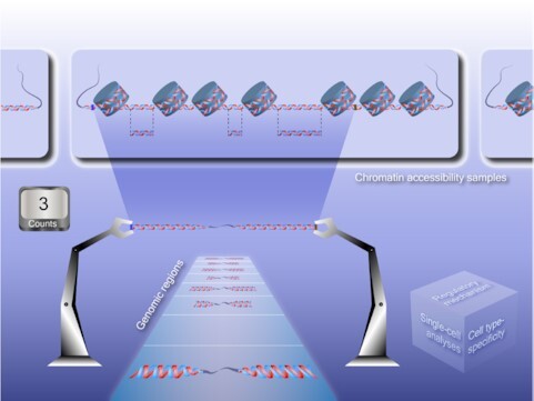 Graphical Abstract