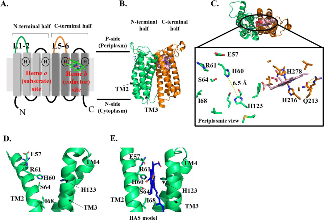 Figure 6.