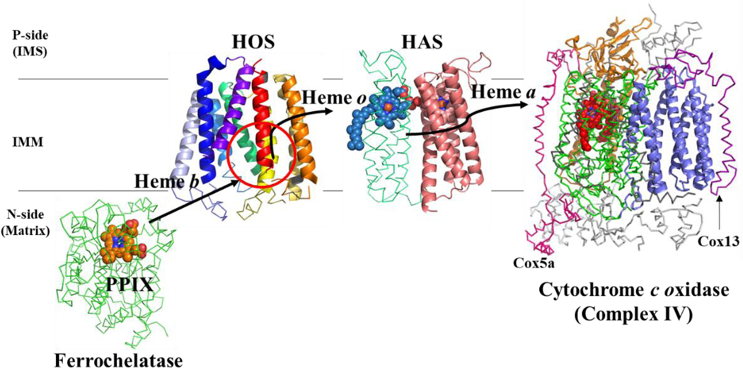 Figure 7.