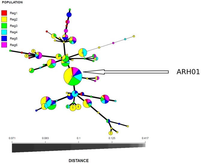 FIGURE 3