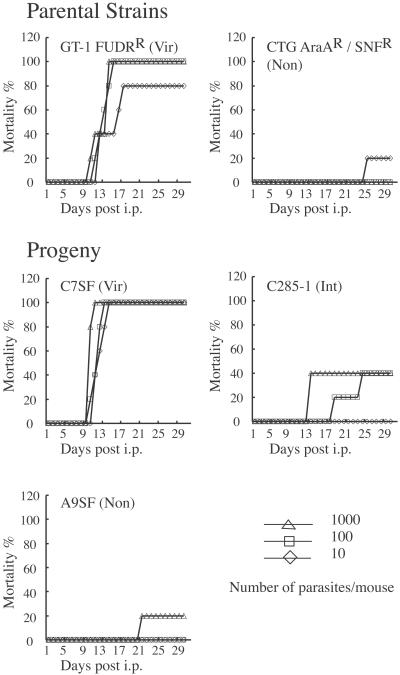 Fig 2.