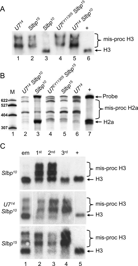 FIGURE 6.