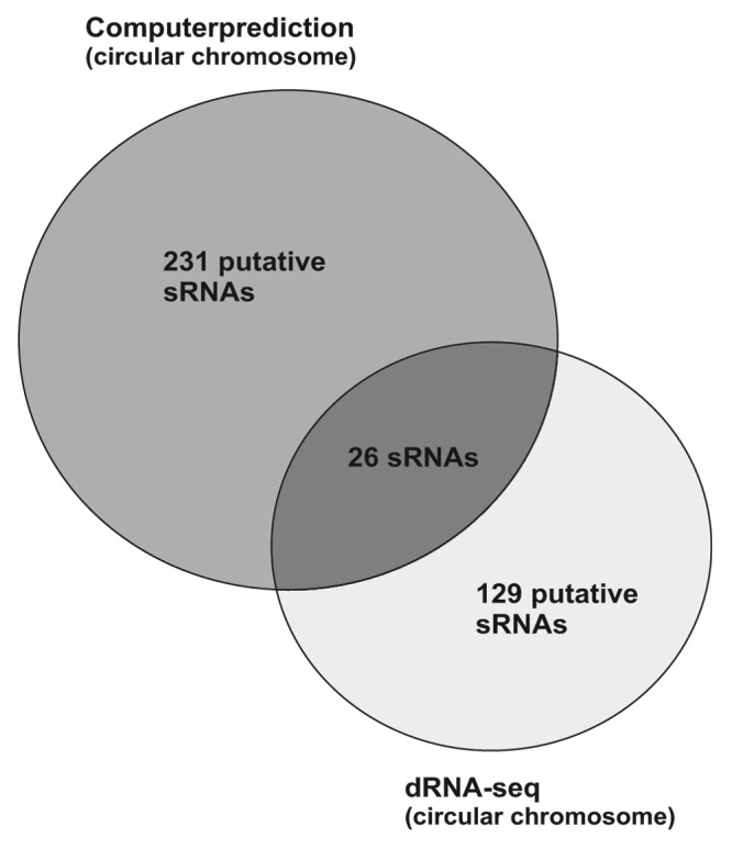 graphic file with name rna-9-446-g7.jpg