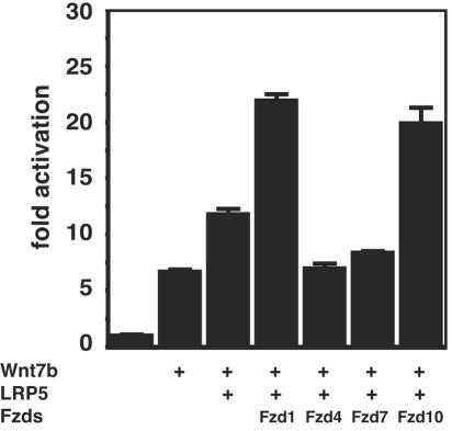 FIG. 7.