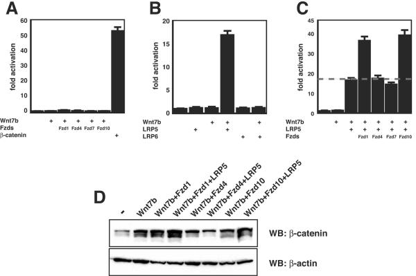 FIG. 6.