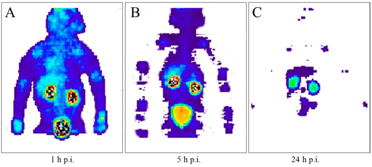 Figure 15