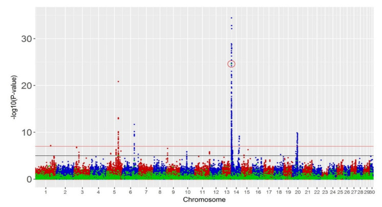 Figure 2