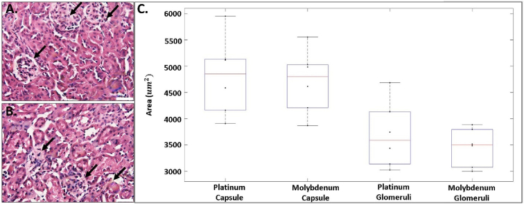 Fig. 9