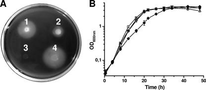 FIG. 3.