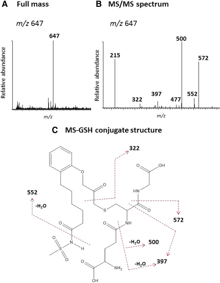 Fig. 7.