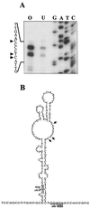 FIG. 6