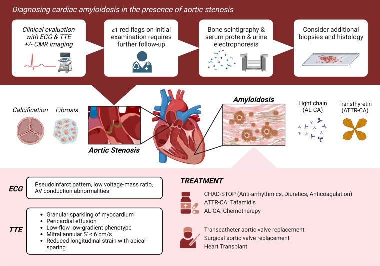 Graphical Abstract