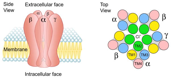 Fig.2