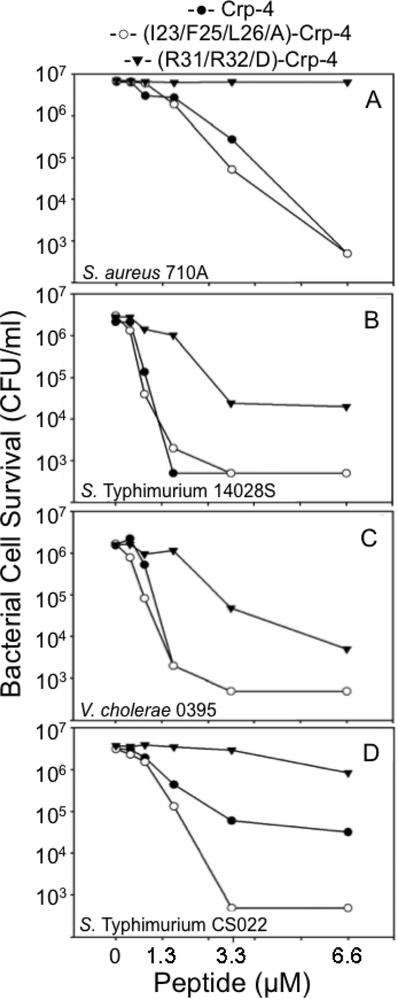 FIG 5