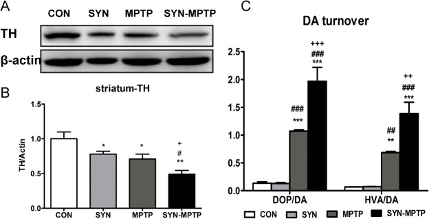 Fig 6