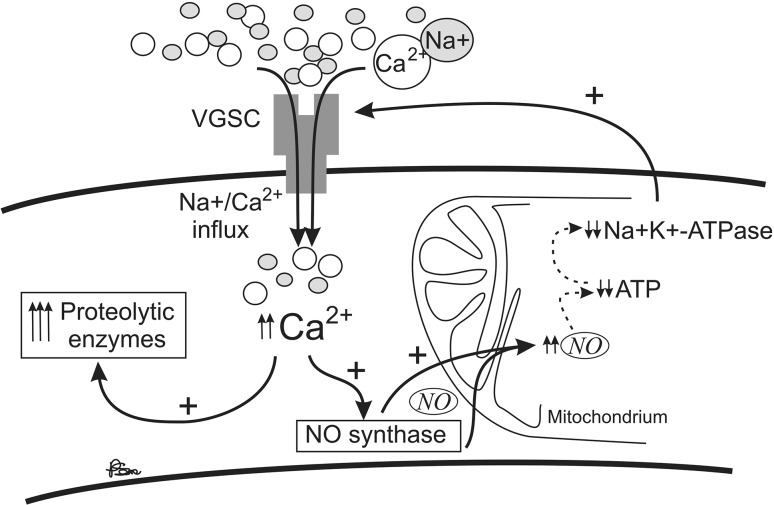 Fig. 1