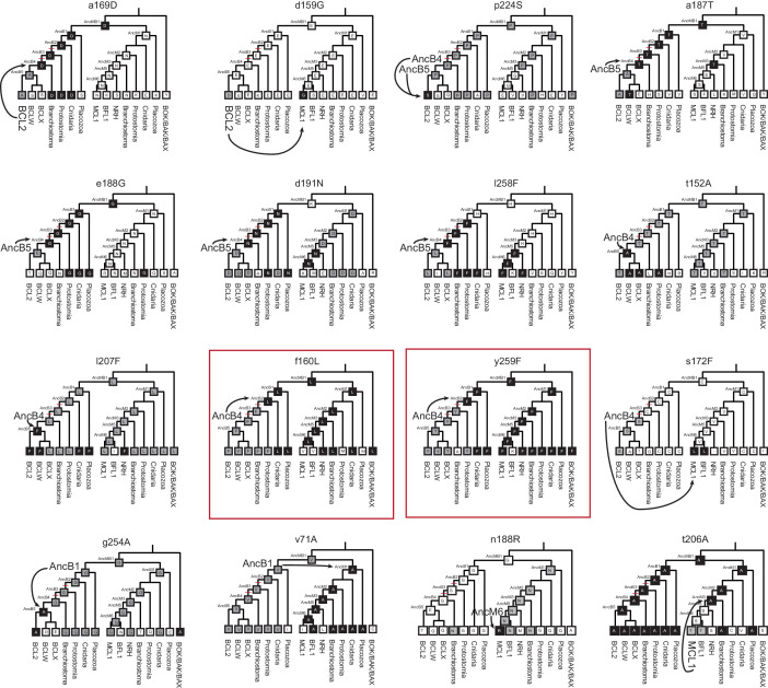 Figure 4—figure supplement 6.