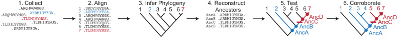 Figure 2—figure supplement 2.